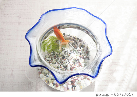 窓辺の金魚鉢 65727017