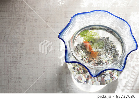 窓辺の金魚鉢 窓辺の金魚鉢 65727036