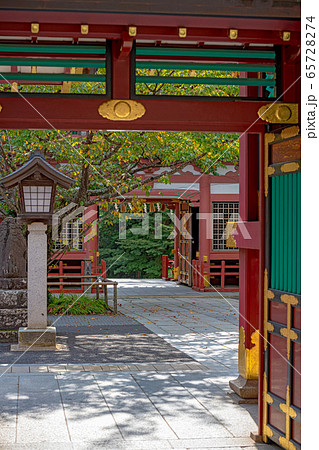 鹽竈神社 唐門と境内風景 鹽竈神社 唐門と境内風景 65728274