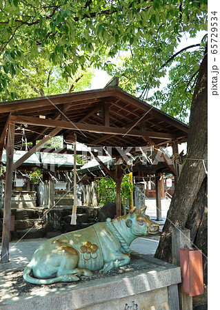愛知県　名古屋市　高牟神社 65729534