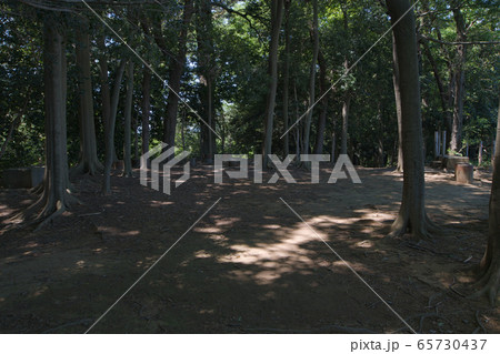 東京都/ 高幡城址・高幡城跡 本丸址 65730437