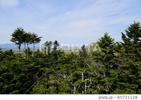 春の達布山展望台からの眺め 65731128