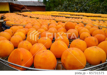 フルーツ 果物 果実 65731575