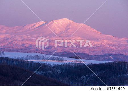 美瑛　日の名残り 65731609