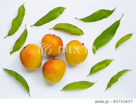 Mango, Tropical fruit with leaves on white 65731637