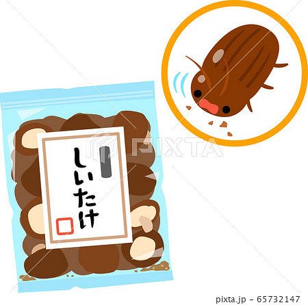 乾物を食べるシバンムシ	 65732147