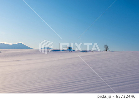 美瑛 名もなき冬の絶景 美瑛 名もなき冬の絶景 65732446