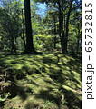 兼六園の苔（２） 65732815