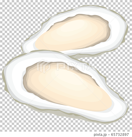 牡蠣　カキ 65732897