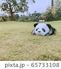 パンダの置物 65733108