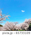 空と桜 65733109