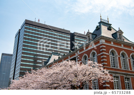 法務省旧本館 赤れんが棟 中央合同庁舎第6号館（法務省 検察庁） 法曹会館 桜 法務 司法イメージ 65733288