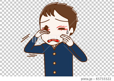 アレルギーで目が痒い男子学生 65733322