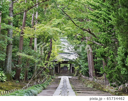 鎌倉・寿福寺　参道 65734462