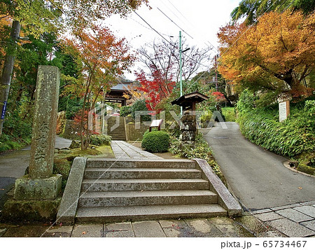 鎌倉・海蔵寺の紅葉 65734467