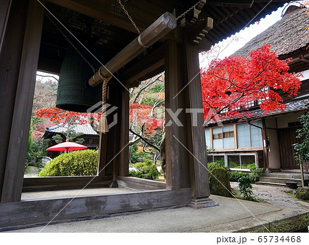 鎌倉・秋の海蔵寺 65734468