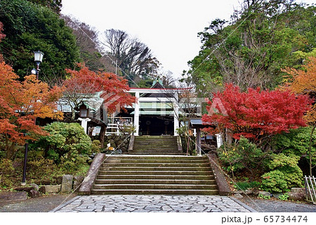 鎌倉・鎌倉宮（大塔宮）の紅葉 65734474