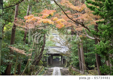鎌倉・秋の寿福寺　参道 65734481