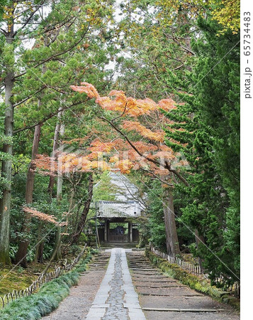 鎌倉・秋の寿福寺　参道 65734483
