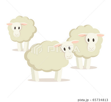 Flock of three sheep. Flat vector illustration, isolated on white background. Flock of three sheep. Flat vector illustration, isolated on white background. 65734813