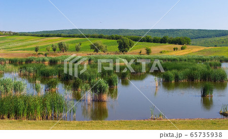 Translational Ecology Science. Beatiful river 65735938