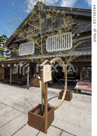 茅の輪くぐり　夏越の大祓　おかげ横丁　イメージ素材 65736484