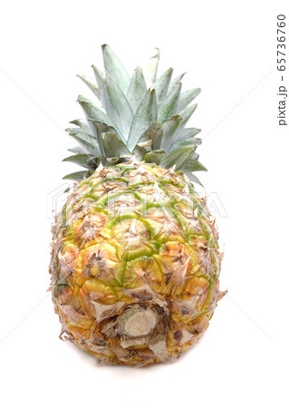パイナップル 65736760