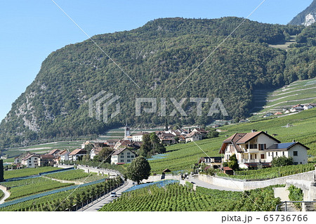 スイスワインの産地イヴォルヌYvorne 65736766