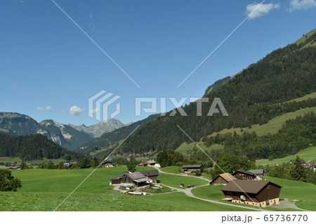 スイスの夏 65736770