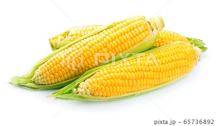 Corn vegetables isolated on white backgrounds. 65736892