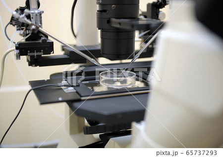 Laboratory Microscope. Scientific and healthcare research background. Laboratory Microscope. Scientific and healthcare research background. 65737293