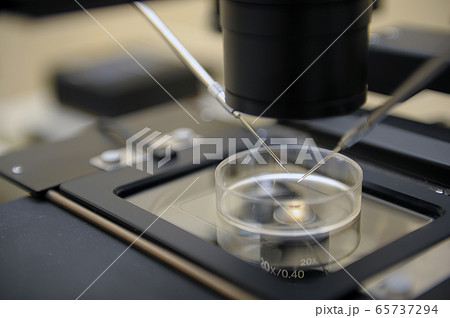 Laboratory Microscope. Scientific and healthcare research background. 65737294