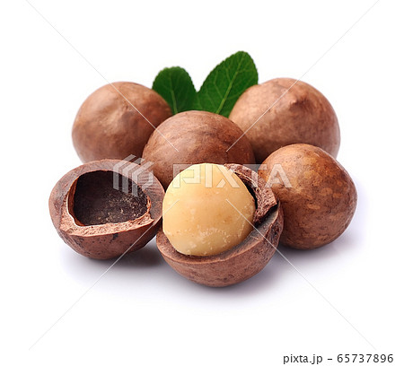 Macadamia nuts. 65737896