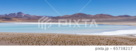 Atacama Desert, Chile. Salar Aguas Calientes. Lake Tuyacto. South America. 65738217