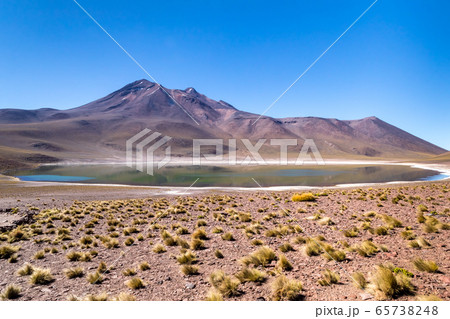 Lagunas Altiplanicas, Miscanti y Miniques, amazing view at Atacama Desert. Chile, South America. Lagunas Altiplanicas, Miscanti y Miniques, amazing view at Atacama Desert. Chile, South America. 65738248
