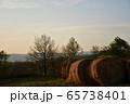 牧場　夕暮れ時 65738401