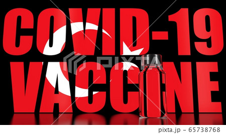 Coronavirus vaccine on the Turkish flag background. Medical research and vaccination in Turkey. 3D rendering 65738768