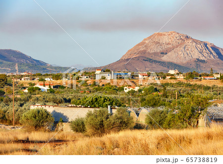 Olive groves lit by bright sunlight in the valley Olive groves lit by bright sunlight in the valley 65738819