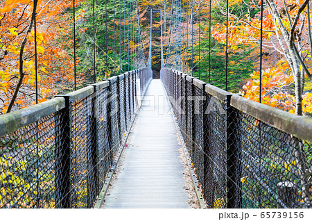 回顧の吊橋と紅葉風景 秋 (栃木県那須塩原市) 2019年11月撮影 回顧の吊橋と紅葉風景 秋 (栃木県那須塩原市) 2019年11月撮影 65739156