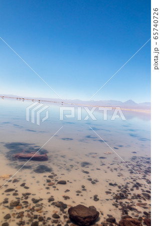 Laguna Chaxa, Atacama Desert, Chile. South America. 65740726