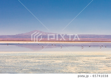 Laguna Chaxa, Atacama Desert, Chile. South America. 65741038