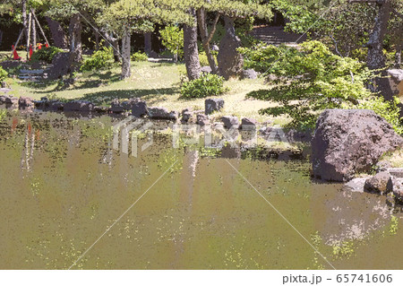 ざらざら仕上・鶴舞公園点景 ざらざら仕上・鶴舞公園点景 65741606