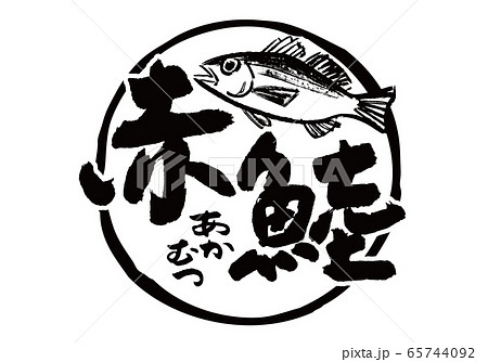 赤鯥 あかむつ 筆文字 水彩画 赤鯥 あかむつ 筆文字 水彩画 65744092