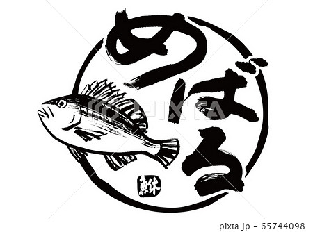 鮴　めばる　筆文字　水彩画 65744098