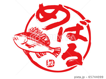 鮴　めばる　筆文字　水彩画 65744099