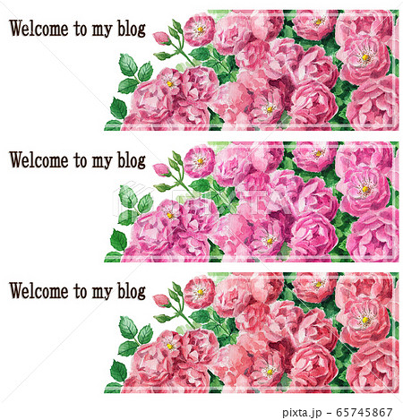 ブログ用ヘッダ画像ピンクのバラ３色セットのイラスト素材