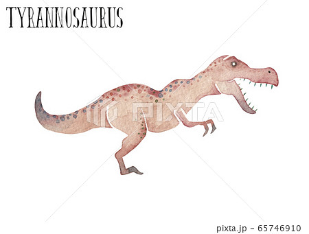 ティラノサウルス 恐竜 水彩 イラストのイラスト素材