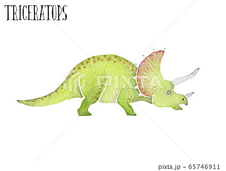 トリケラトプス 恐竜 水彩 イラストのイラスト素材