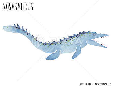 モササウルス 恐竜 水彩 イラストのイラスト素材