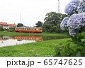 紫陽花咲くいすみ鉄道 65747625